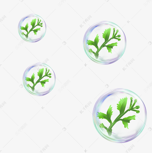 医美植物成分素材图片免费下载 高清装饰图案psd 千库网 图片编号
