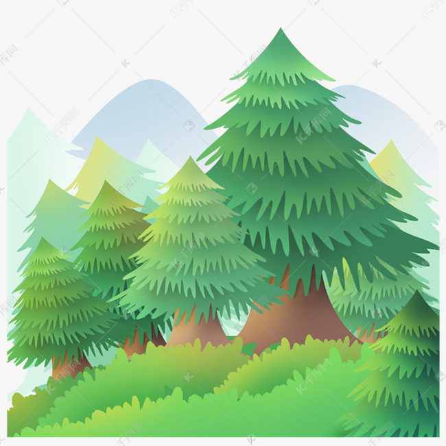 森林树林自然植物松树