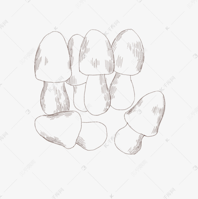 手绘草菇线描插画