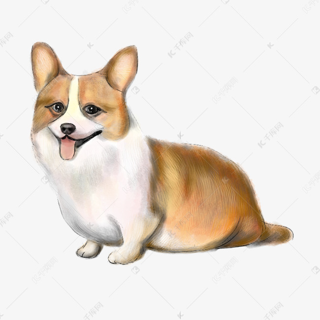卡通动物柯基犬插画素材图片免费下载-千库网