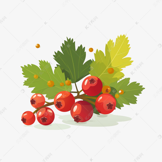 卡通植物装饰红果