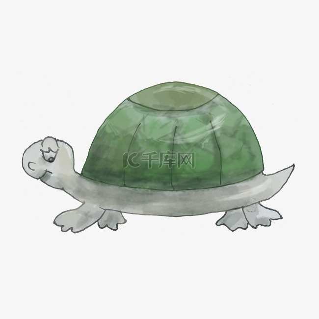 手绘可爱绿色乌龟png