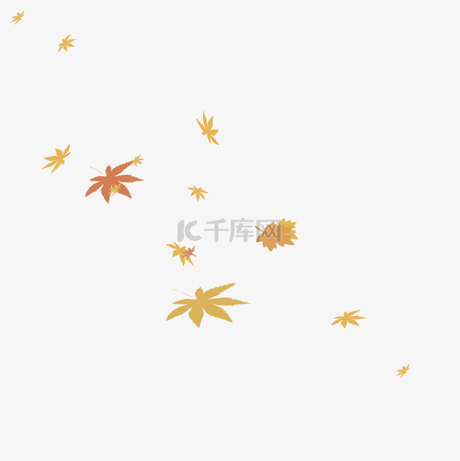 秋天落叶枫叶黄色