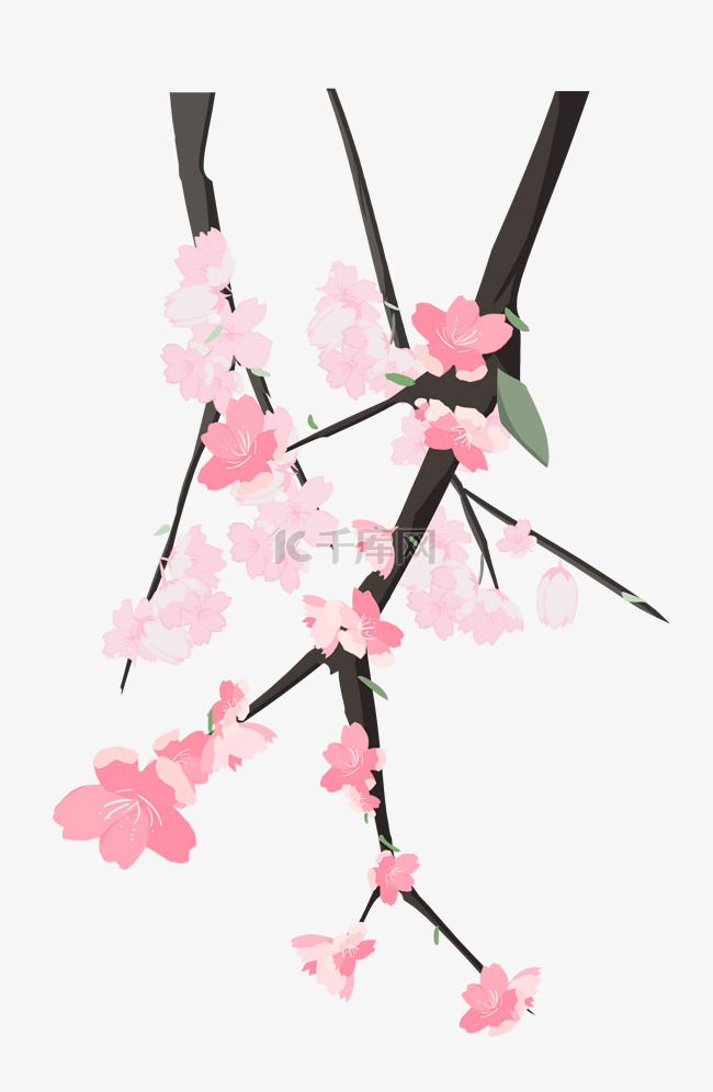 春季粉色樱花
