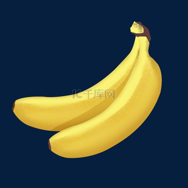 两根黄色写实手绘香蕉psd免抠图