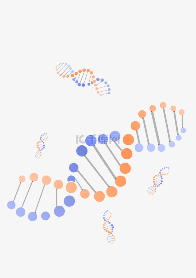 化学DNA结构图插画
