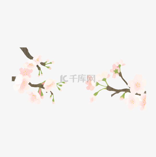 樱花树枝日式风格矢量花朵手绘