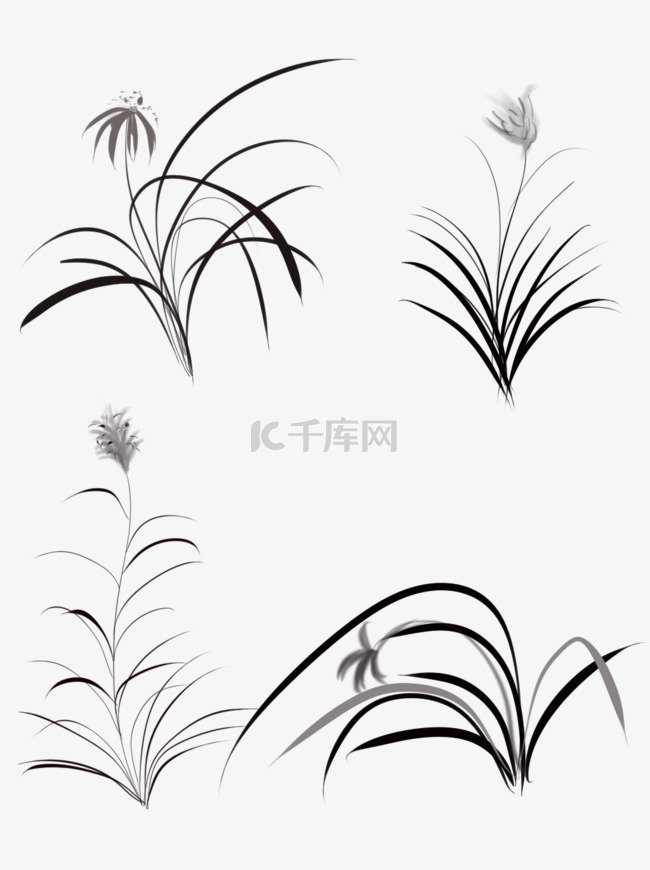 商用手绘古风中国风水墨画植物兰