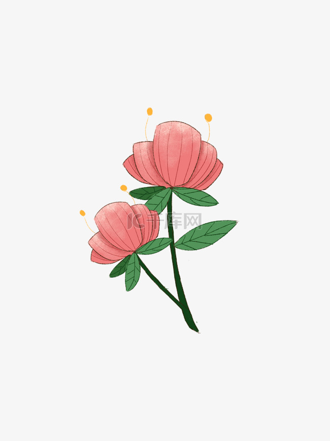 手绘植物花朵花簇绿叶粉色装饰图