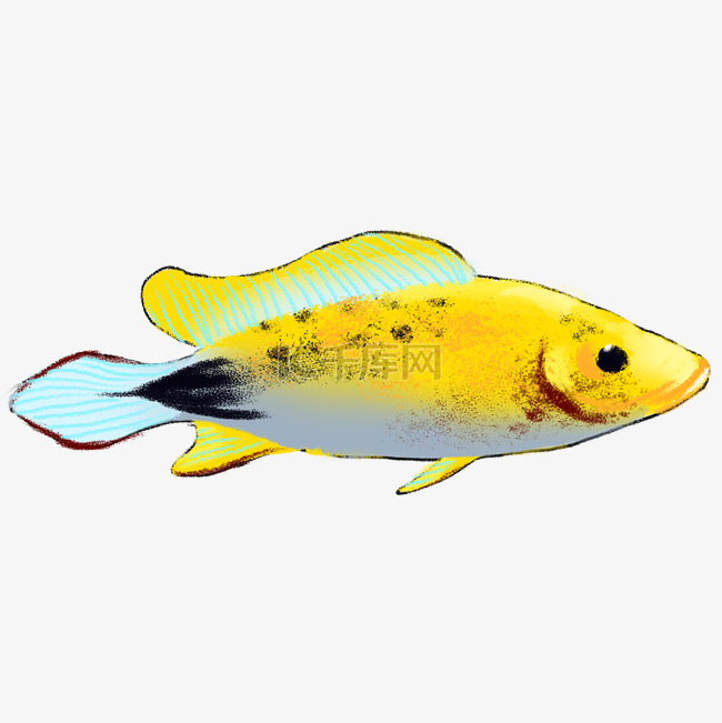 黄色创意海鱼元素