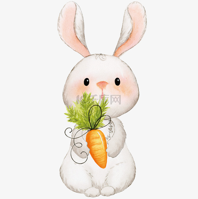 中秋节吃萝卜的兔子