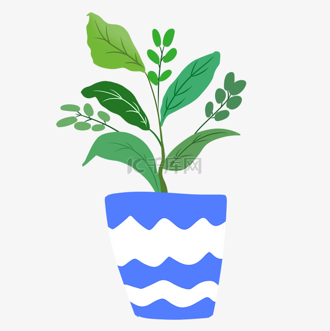 绿色的植物盆栽插画