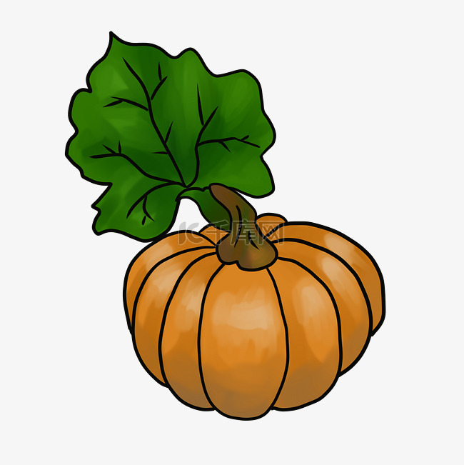 秋收季节有机蔬菜南瓜插画