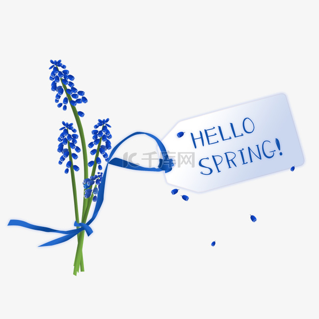 春天你好春天蓝色花花