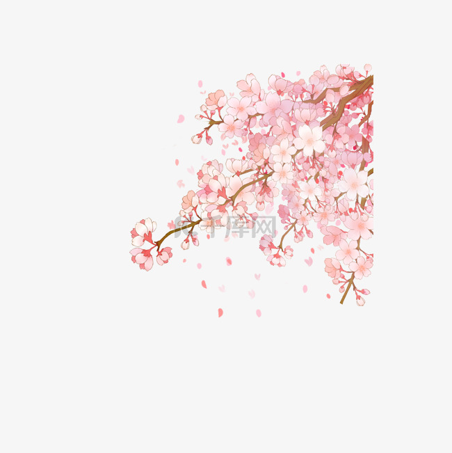 毕业季粉色樱花