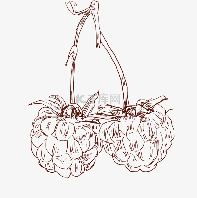 线描小菠萝水果插画