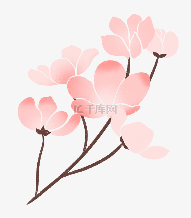 春天粉色的花朵插画