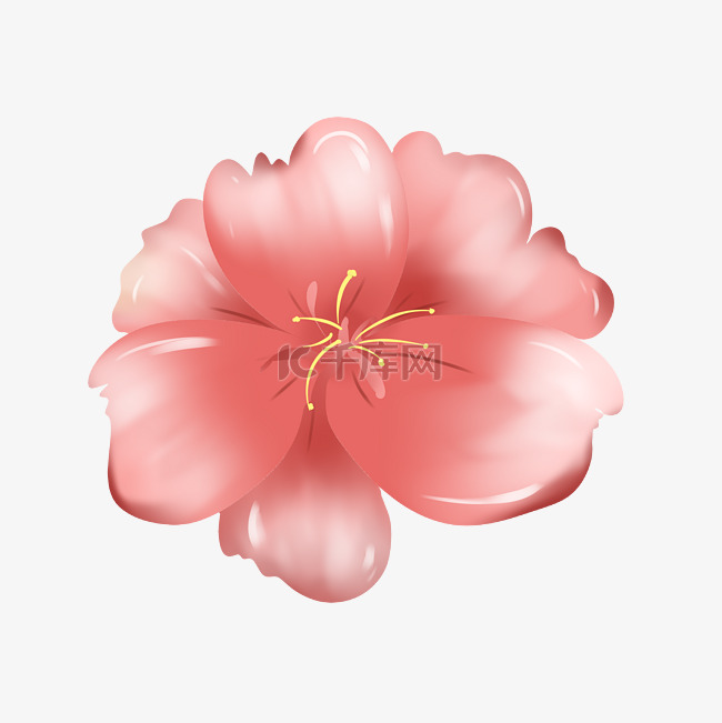 粉色花朵花卉手绘装饰图案