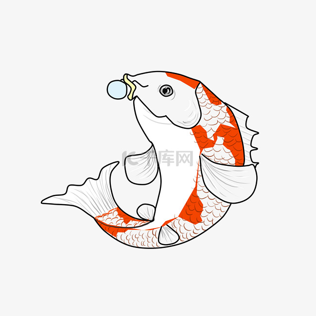 锦鲤花白鱼类卡通插画
