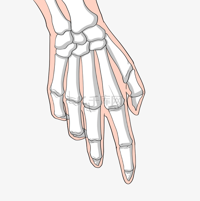 人体器官手指插画