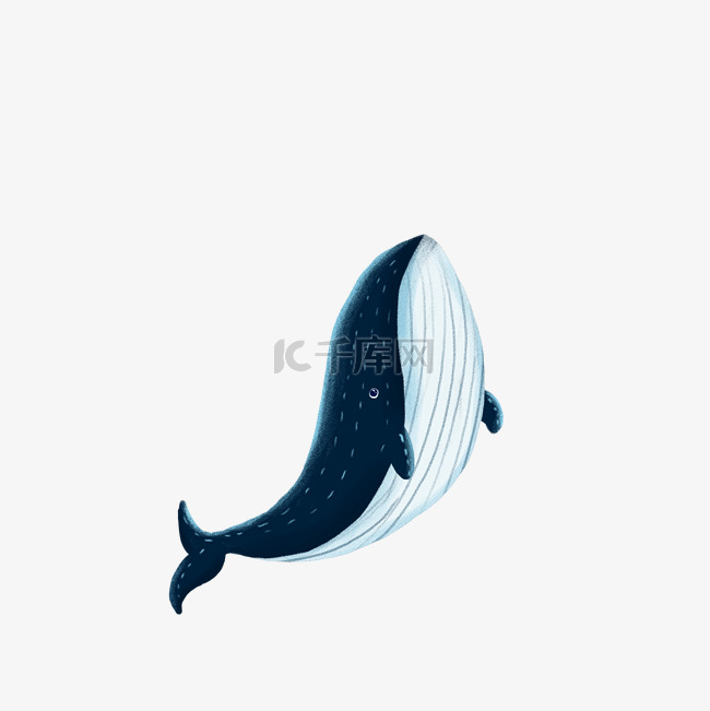  蓝色鲸鱼  