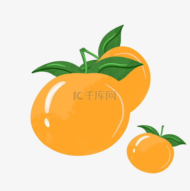 桔子橘色圆形水果维生素