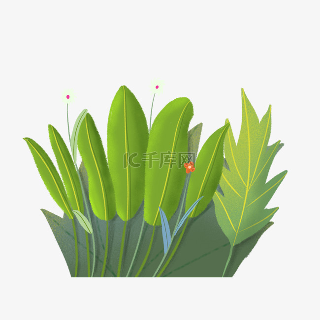 插画风格的一簇绿色的草丛植物