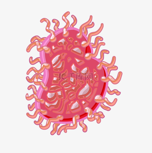 粉红色细菌 