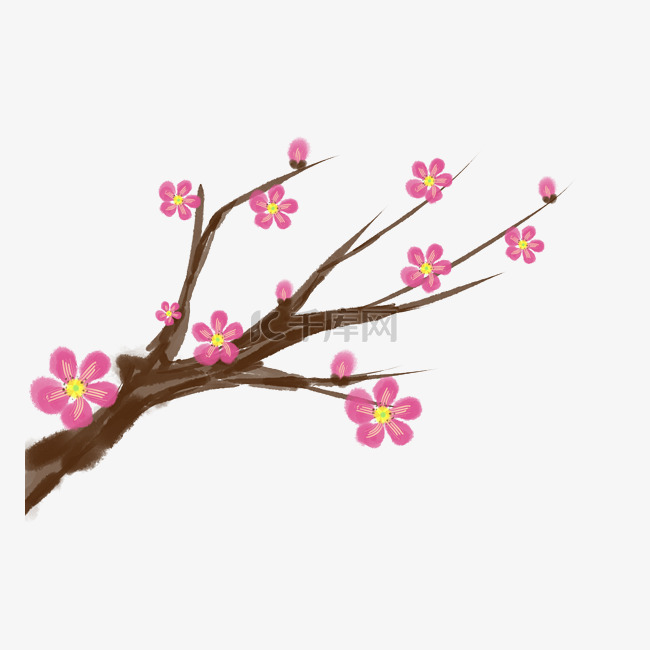 粉色的梅花花枝插画