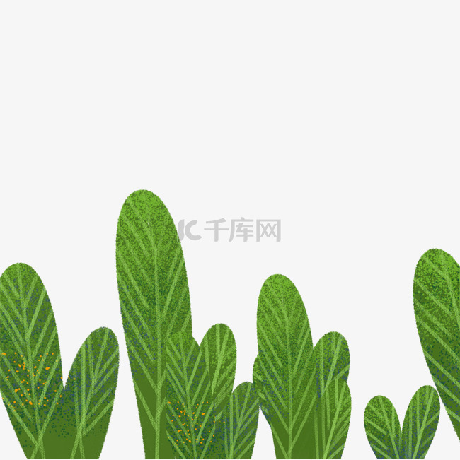 手绘插画植物树叶子