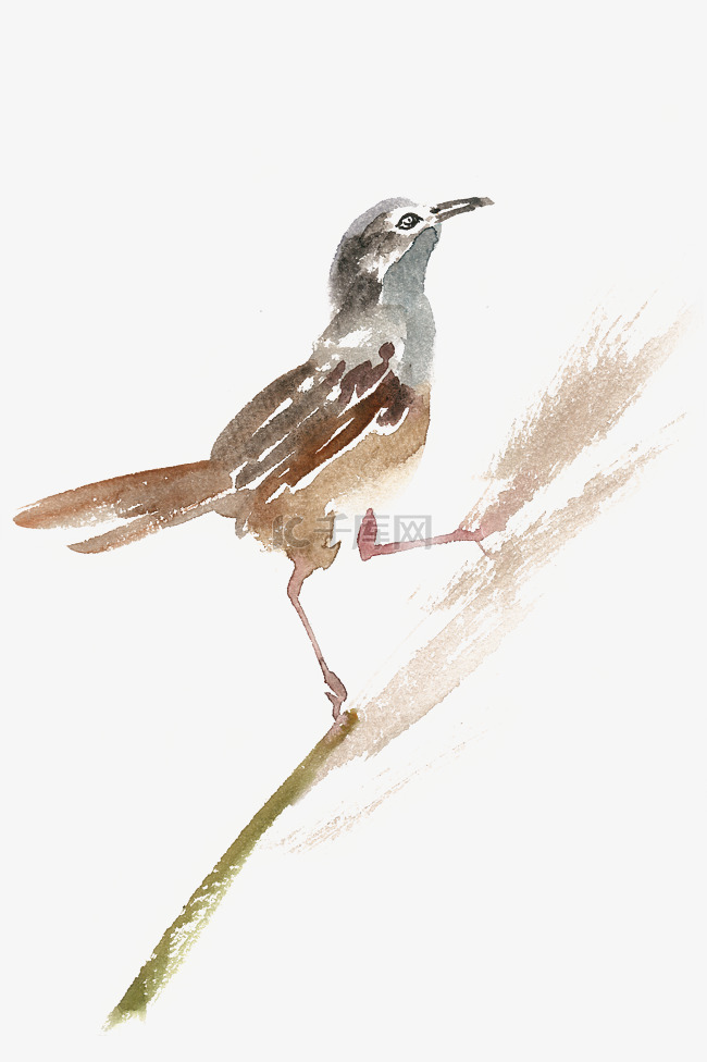 芦苇上的小鸟水彩画PNG免抠素材