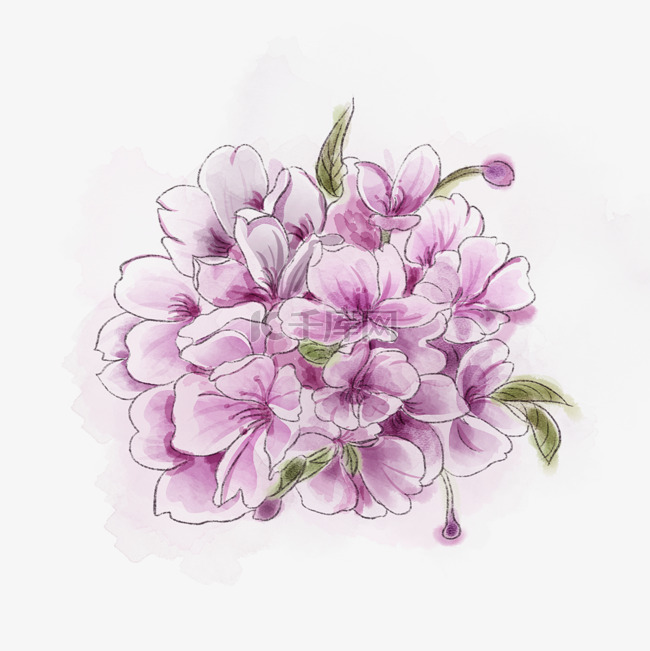 樱花唯美紫色花朵清新春天PNG