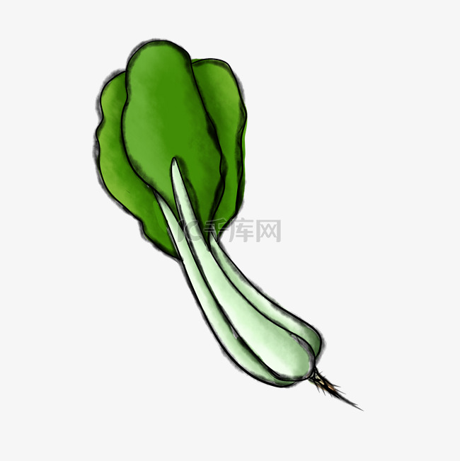 绿色营养健康的青菜图案
