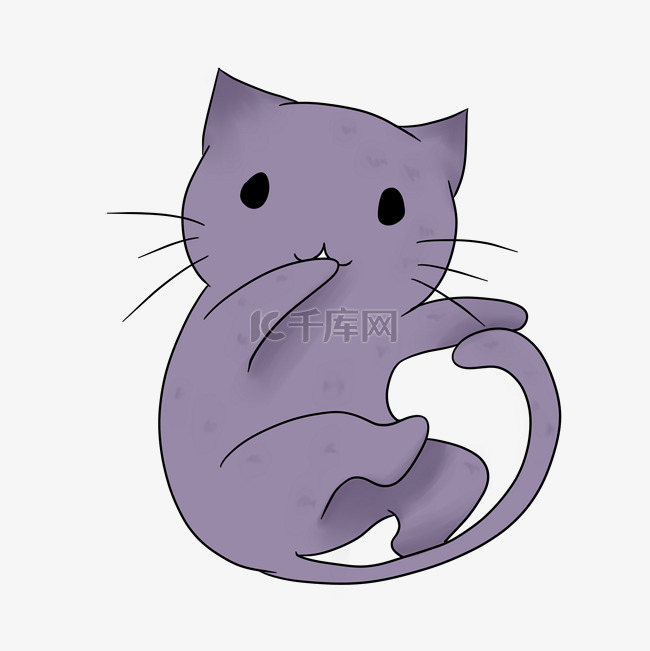 紫色宠物猫咪