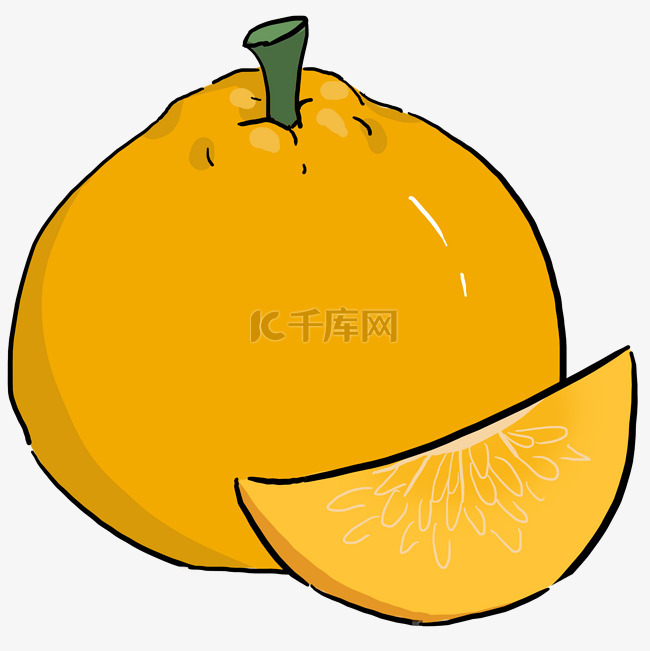 手绘水果丑橘