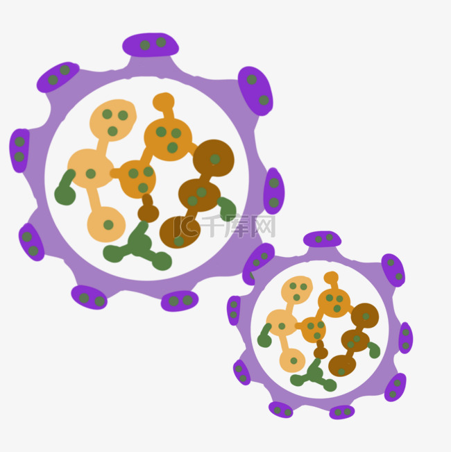 紫色球形细菌