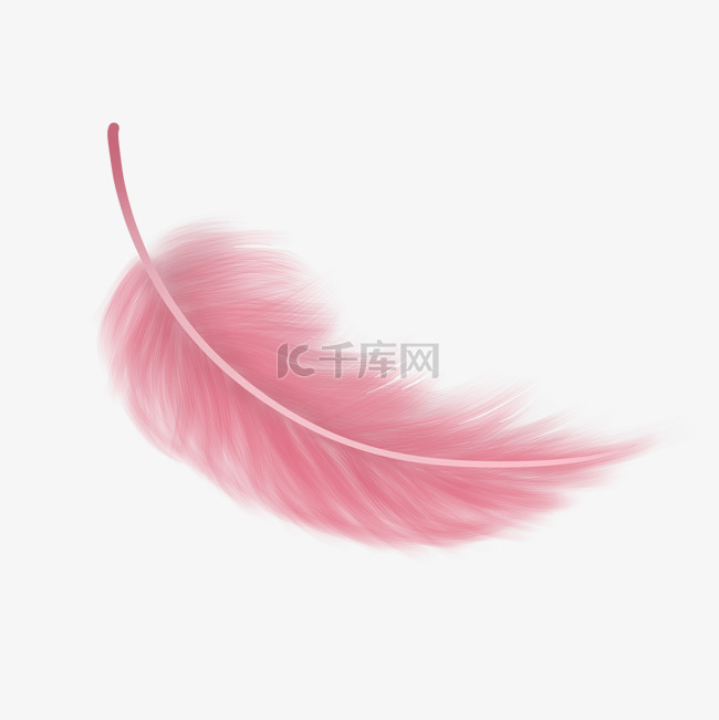 粉红色小清新鸟类羽毛