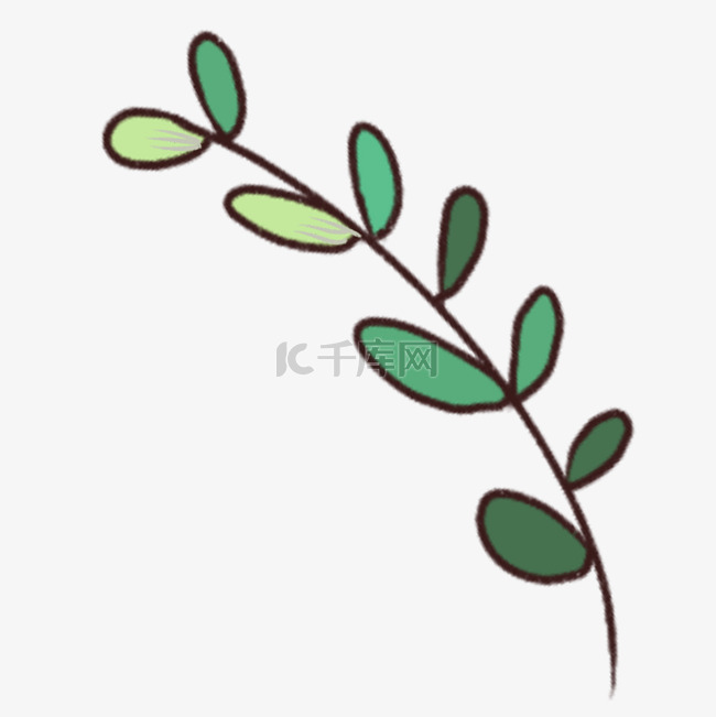 藤蔓小绿植免抠图