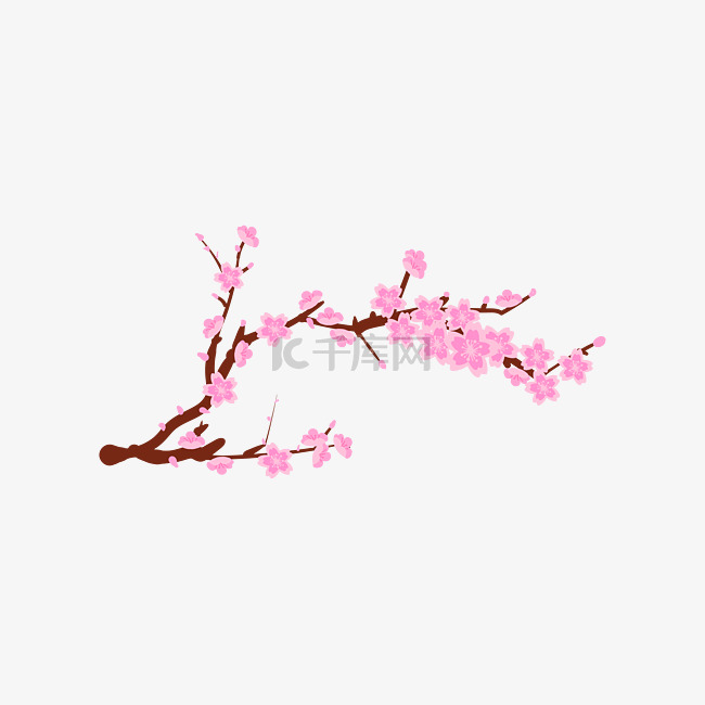 妁妁盛开的粉色桃花