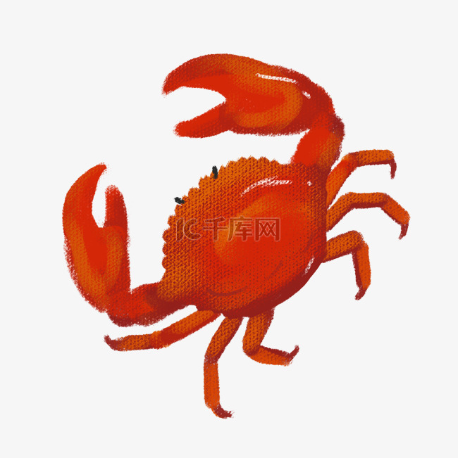 新鲜海鲜红螃蟹插画