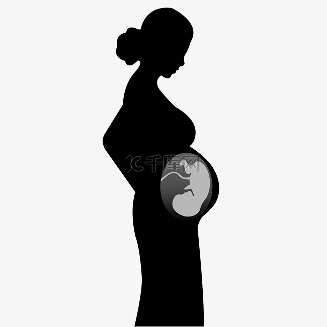 孕妇与肚内婴儿的矢量图