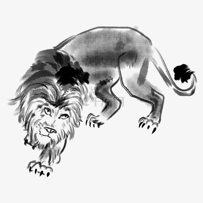手绘捕猎的狮子插画