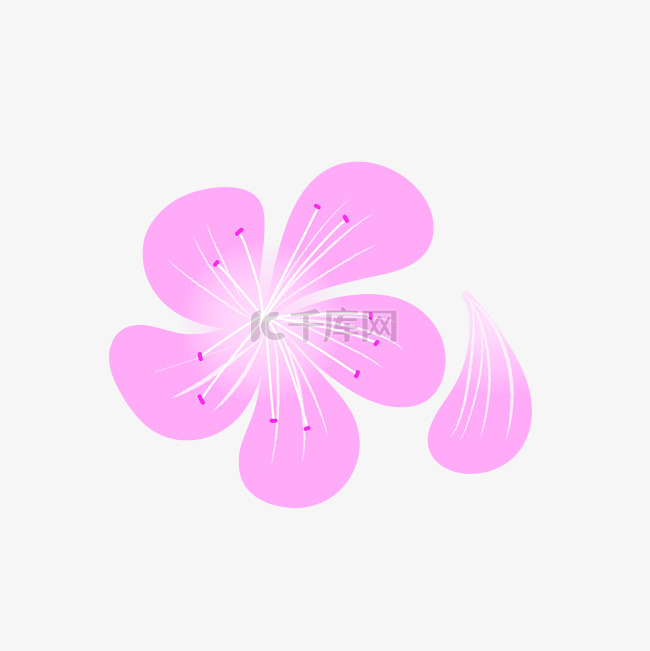 樱花花瓣插画PNG图片