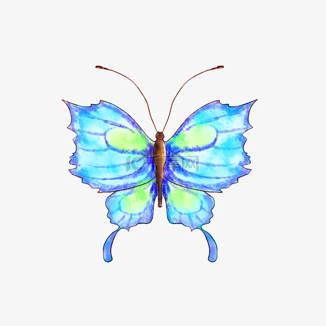 手绘蓝色的花蝴蝶插画