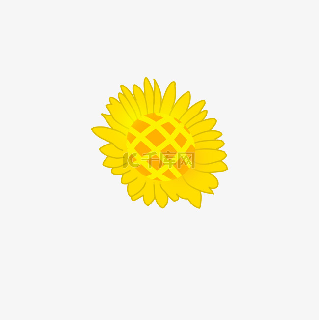 向阳黄色花