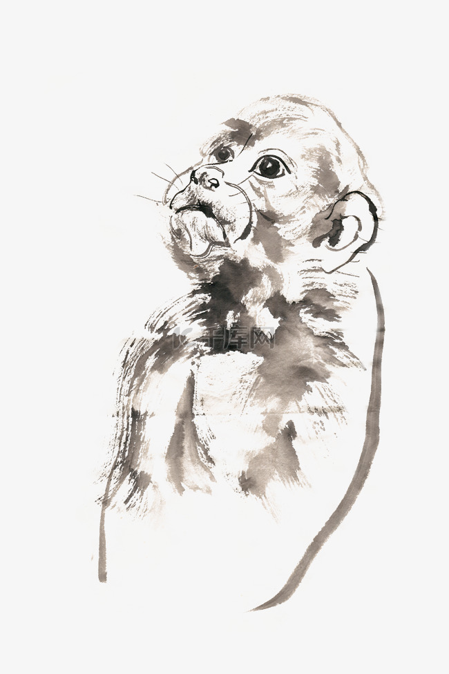小猩猩动物水墨画PNG免抠素材