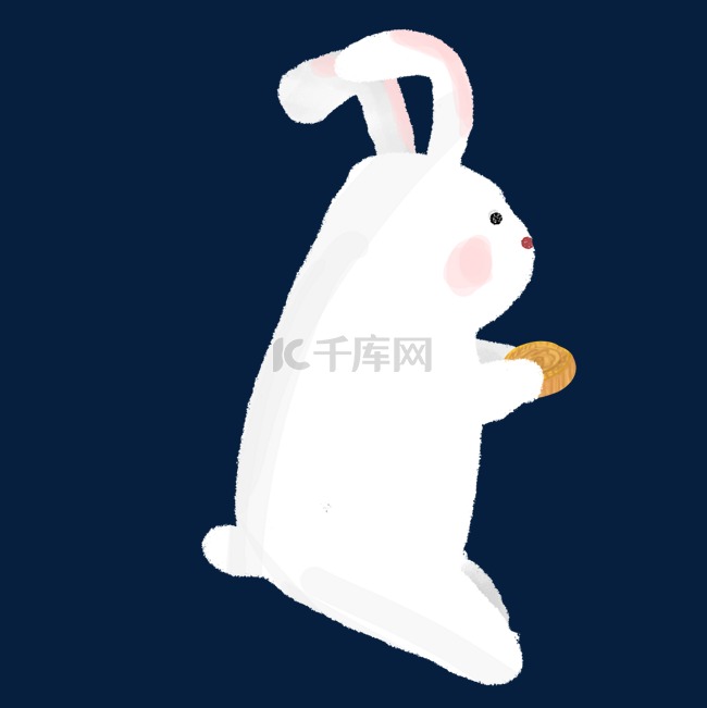  白色兔子 