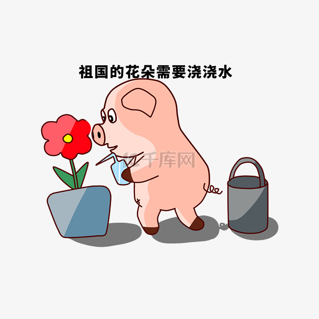 小猪日常生活之浇花