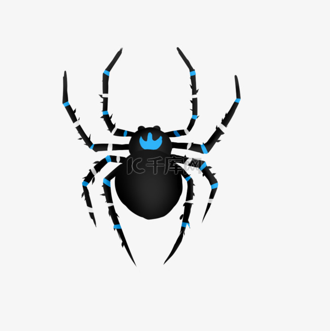 蓝白黑斑纹蜘蛛手绘