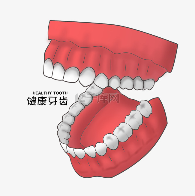 卡通手绘健康的牙齿